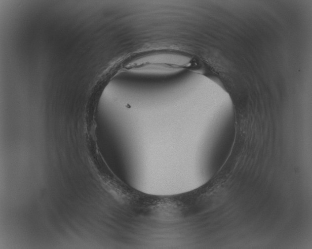 X0000067520256200604211824