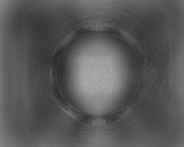 X0000067520258200604211824