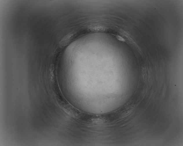 X0000067520259200604211824