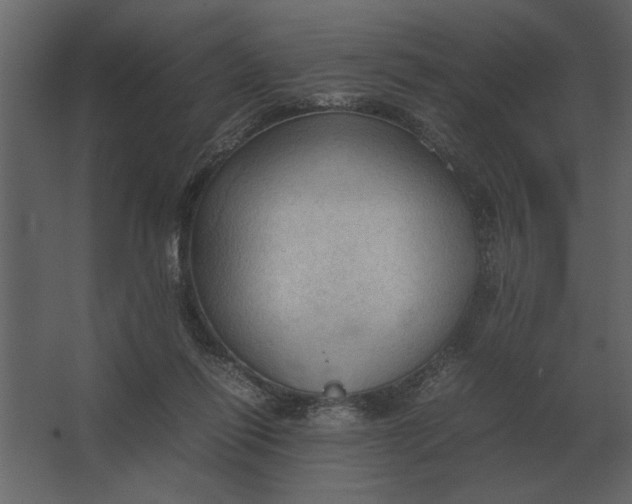 X0000067520262200604211824