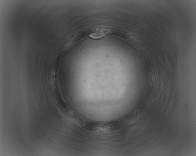 X0000067520263200604211824