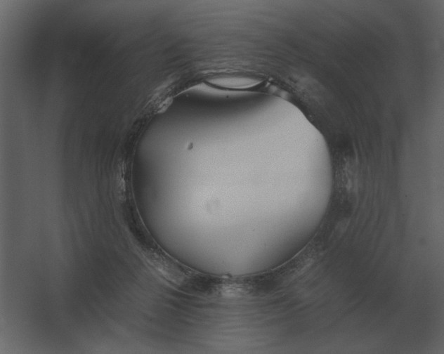 X0000067520264200604211824