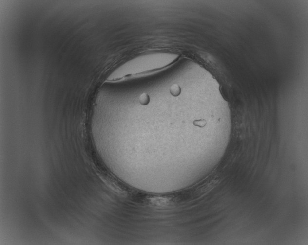 X0000067520265200604211824