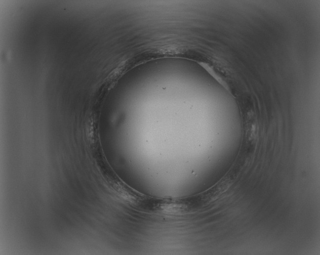 X0000067520268200604211825