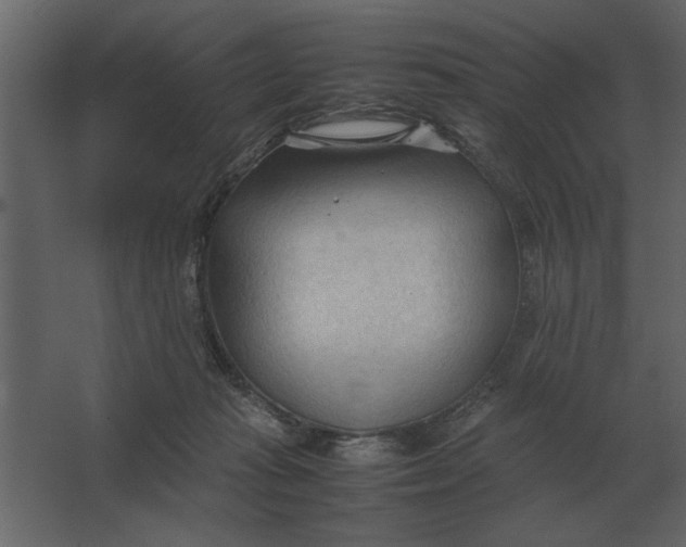 X0000067520269200604211825