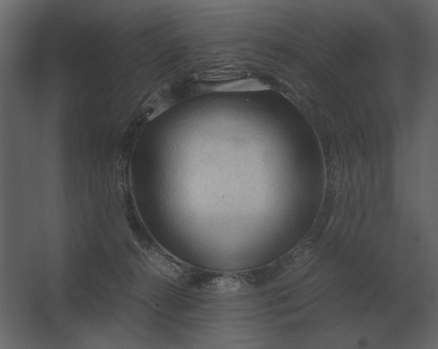 X0000067520272200604211825