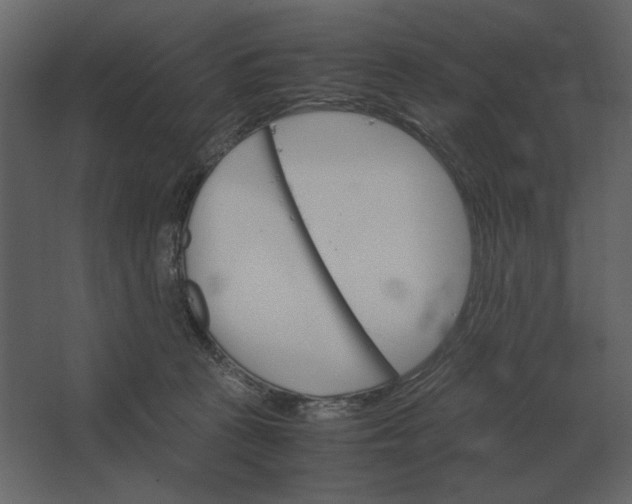 X0000067520273200604211825