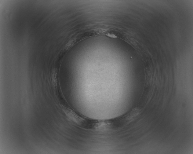 X0000067520274200604211825