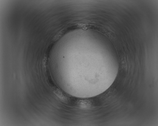 X0000067520275200604211825