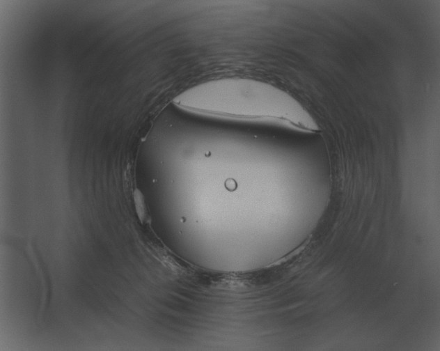 X0000067520276200604211825