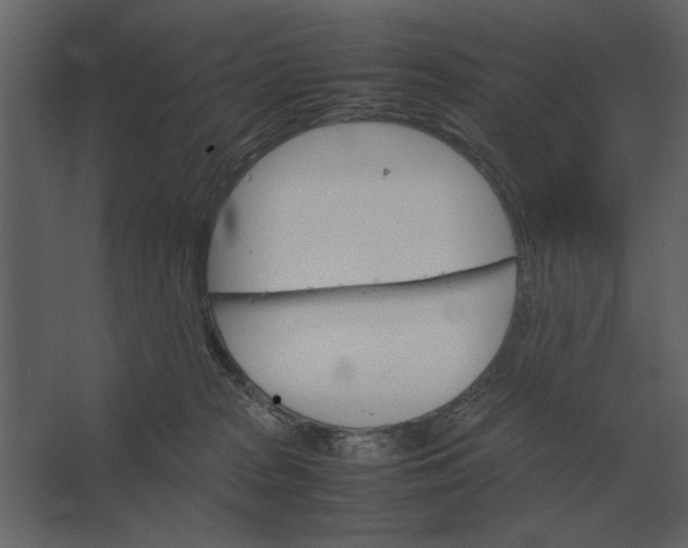 X0000067520277200604211825