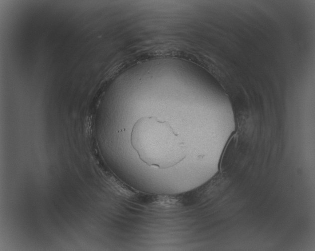 X0000067520278200604211825