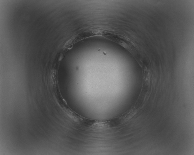 X0000067520280200604211825