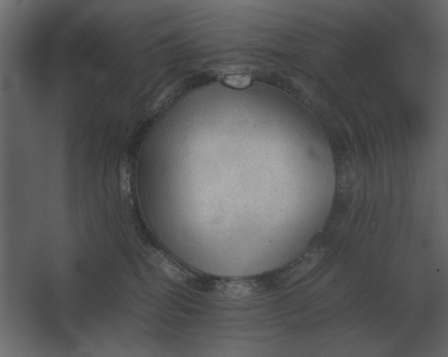 X0000067520282200604211825