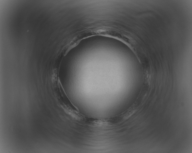 X0000067520284200604211825