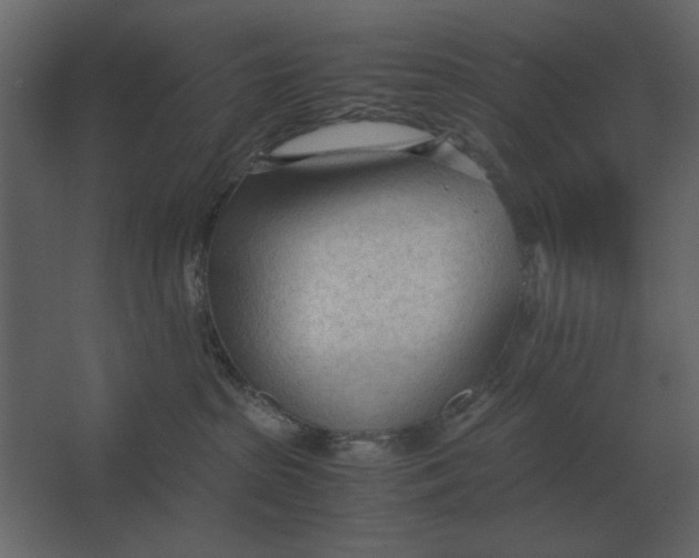 X0000067520285200604211825