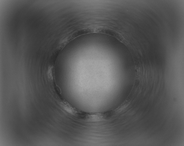 X0000067520286200604211825