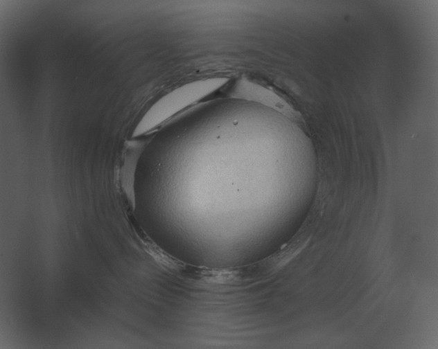 X0000067520288200604211825