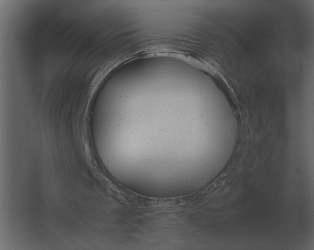 X0000067520289200604211824