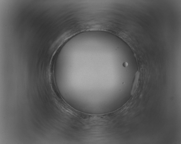 X0000067520290200604211824