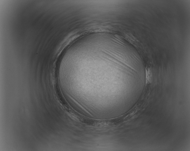 X0000067520291200604211824