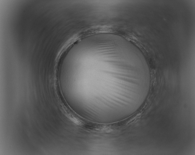 X0000067520293200604211824