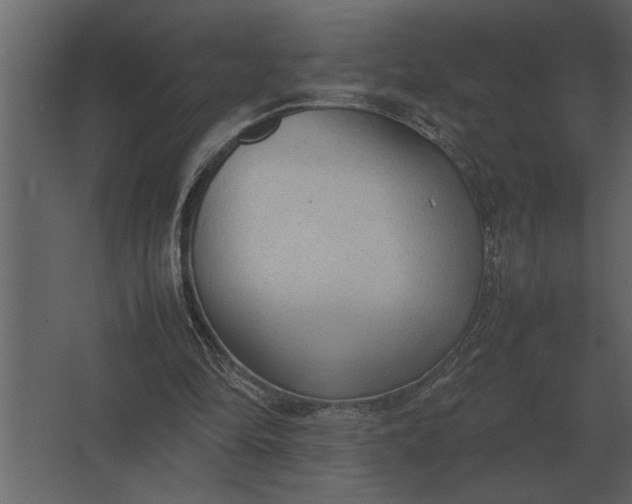 X0000067520294200604211824