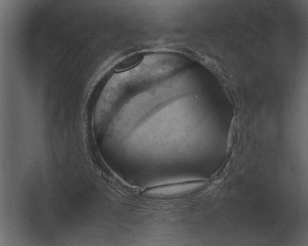 X0000067520295200604211824