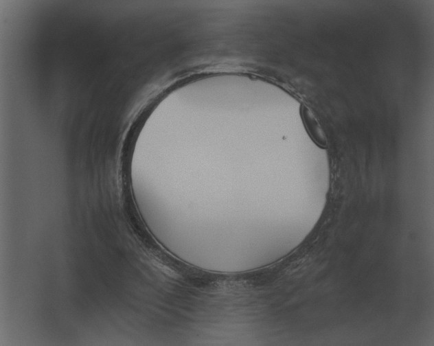 X0000067520296200604211824