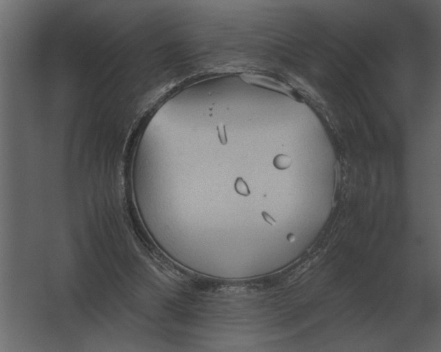 X0000067520298200604211824