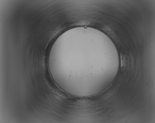 X0000067520300200604211824