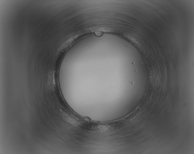 X0000067520302200604211824