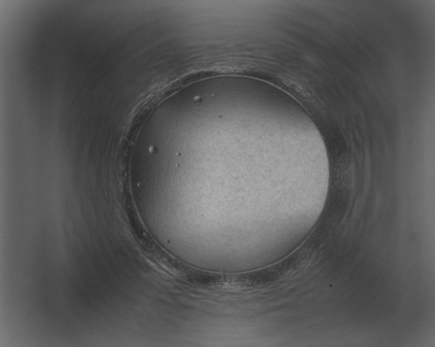 X0000067520303200604211824