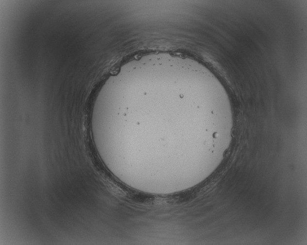 X0000067520305200604211824