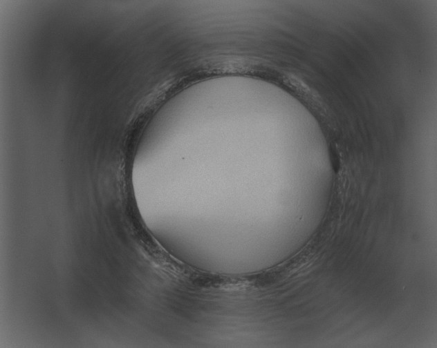 X0000067520306200604211824