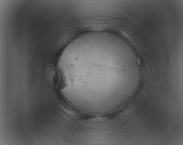 X0000067520307200604211824