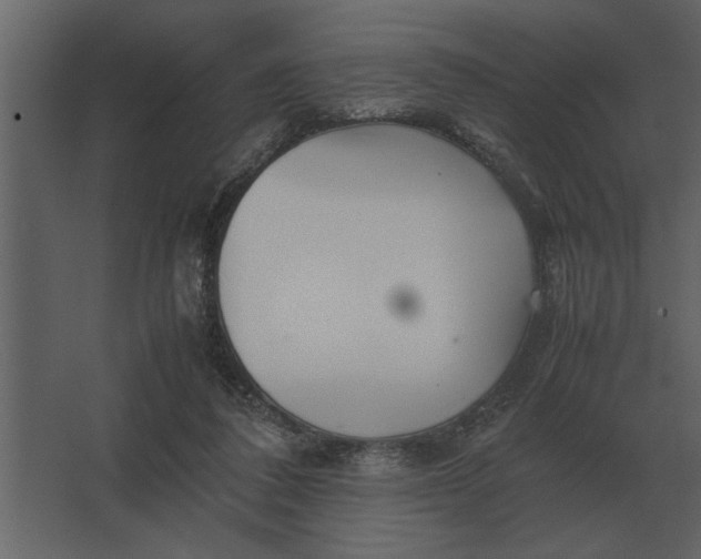 X0000067520308200604211824