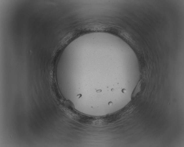 X0000067520309200604211824