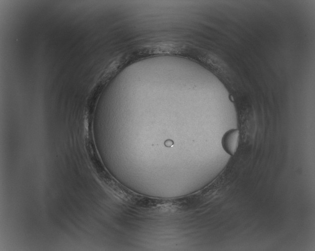 X0000067520310200604211824