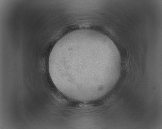 X0000067520311200604211824