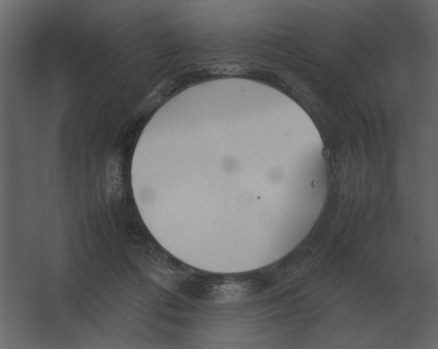 X0000067520312200604211824