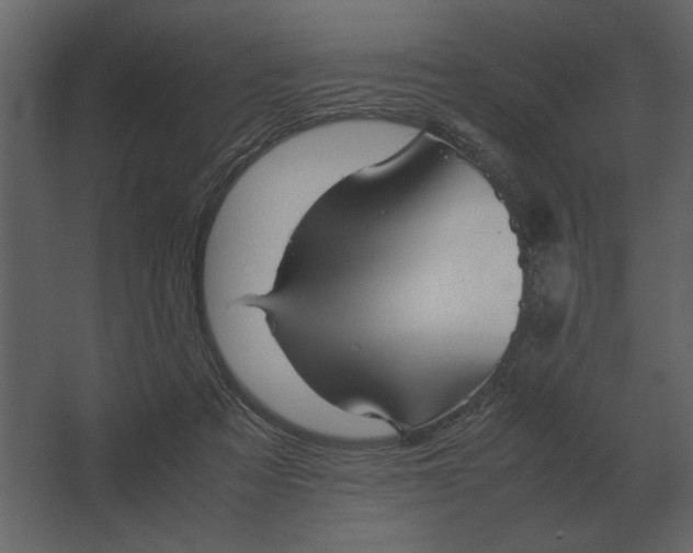 X0000067520313200604211824