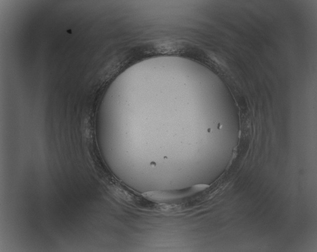 X0000067520317200604211824