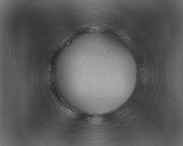 X0000067520318200604211824