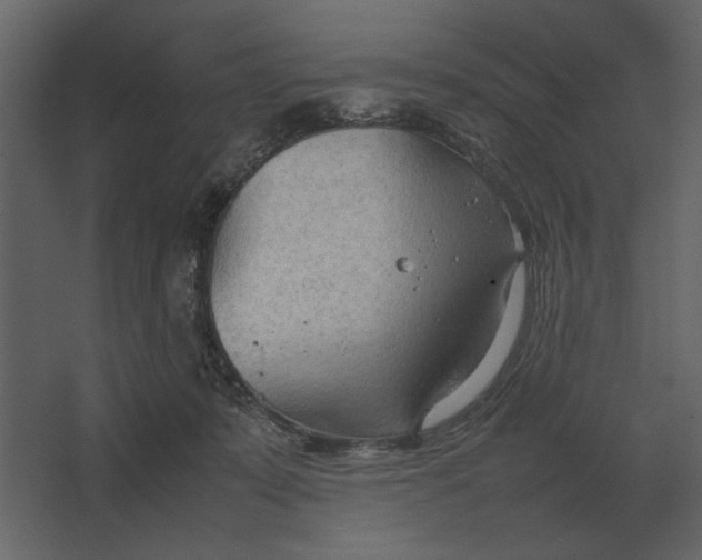 X0000067520319200604211824