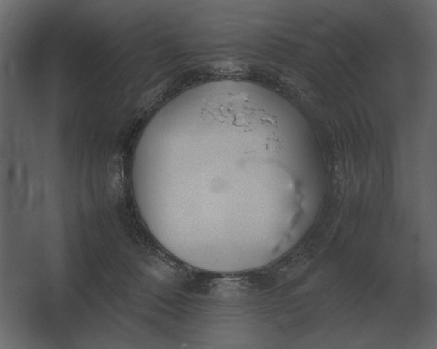 X0000067520320200604211824