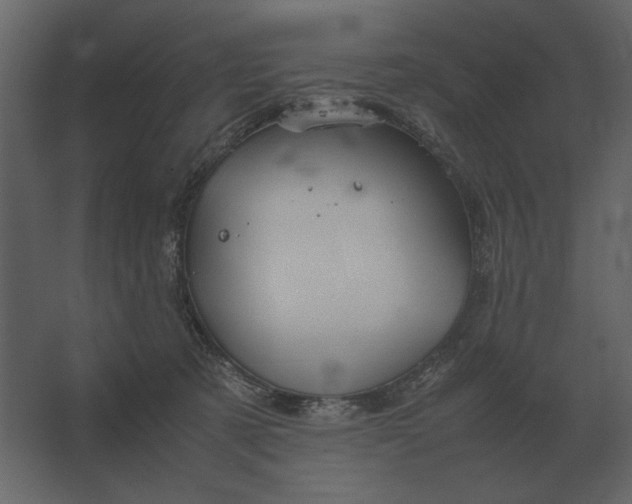 X0000067520321200604211824