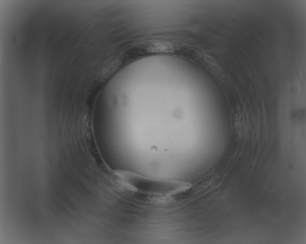 X0000067520322200604211823