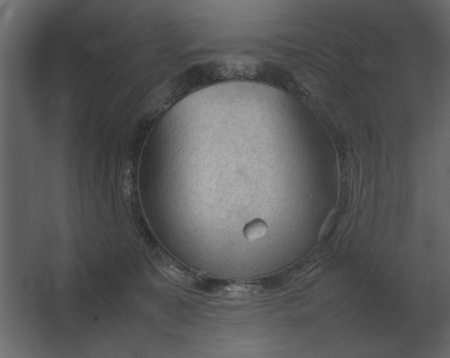 X0000067520323200604211823