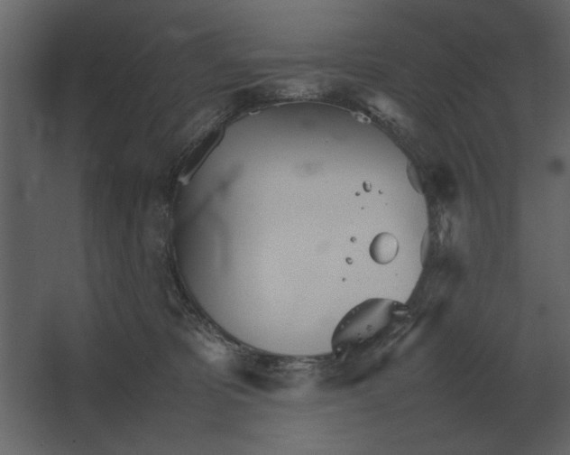 X0000067520325200604211823